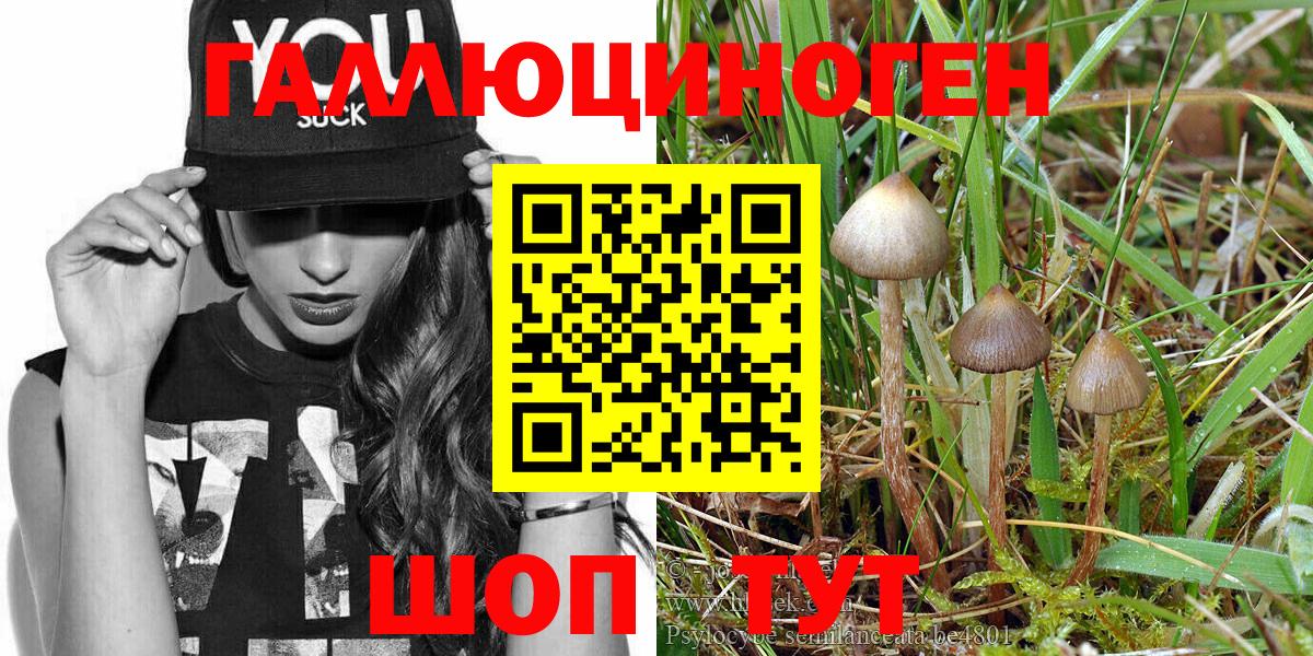 Галлюциногенные грибы Magic Shrooms Алейск