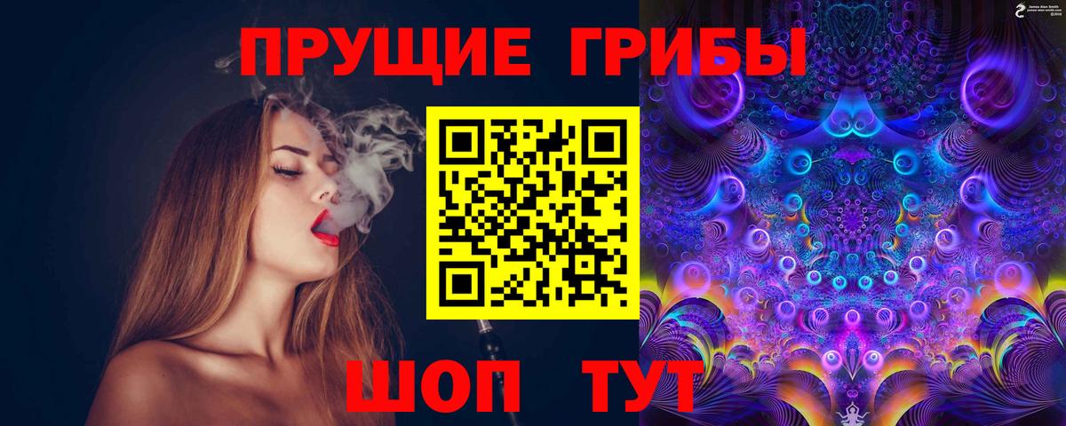Псилоцибиновые грибы GOLDEN TEACHER  Галлюциногенные грибы Psilocybe  Алейск  Вход с VPN 